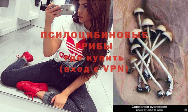 a pvp Алексин